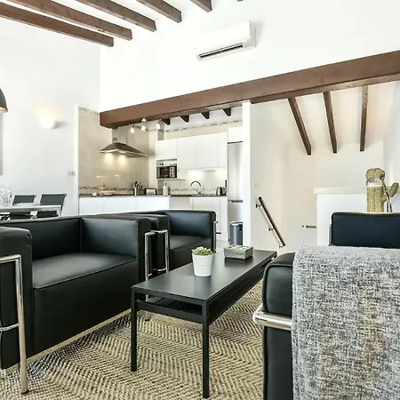 Modern Stylish In
